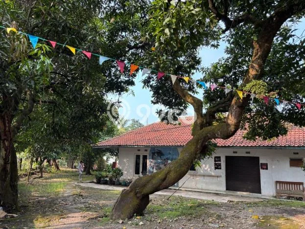 Jual Rumah Bagus Siap Huni LB 100m2 di Jatinangor, Sumedang Jual Rumah Bagus Siap Huni LB 100m2 di Jatinangor, Sumedang