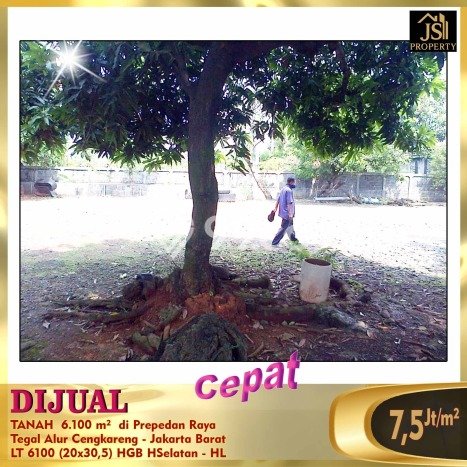 Tanah Dijual Lokasi Cengkareng Jakarta Barat - Tanah Dijual Lokasi Cengkareng Jakarta Barat -