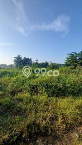 Jarang Ada! Tanah di Legok Punya Luas 70000m2 SHM Jarang Ada! Tanah di Legok Punya Luas 70000m2 SHM