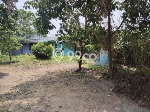 Tanah Dijual Lokasi Neglasari, Tangerang dengan Luas Tanah 9192m2 dan Status SHM Tanah Dijual Lokasi Neglasari, Tangerang dengan Luas Tanah 9192m2 dan Status SHM