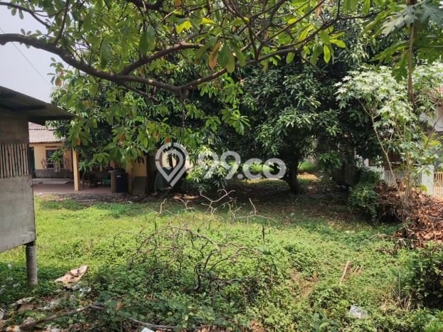 Tanah Dijual Lokasi Neglasari, Tangerang dengan Luas Tanah 9192m2 dan Status SHM Tanah Dijual Lokasi Neglasari, Tangerang dengan Luas Tanah 9192m2 dan Status SHM