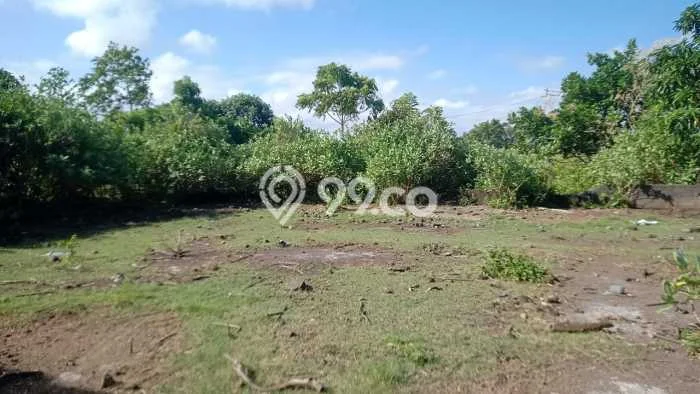 Tanah Premium di Denpasar Utara, Luas 1000m², Cocok untuk Usaha, For Rent Tanah Premium di Denpasar Utara, Luas 1000m², Cocok untuk Usaha, For Rent