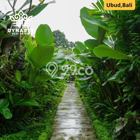 FOR SALE! Vila di Ubud, Area 55m², Lokasi Strategis FOR SALE! Vila di Ubud, Area 55m², Lokasi Strategis