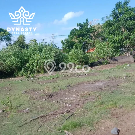 Tanah Premium di Denpasar Utara, Luas 1000m², Cocok untuk Usaha, For Rent Tanah Premium di Denpasar Utara, Luas 1000m², Cocok untuk Usaha, For Rent