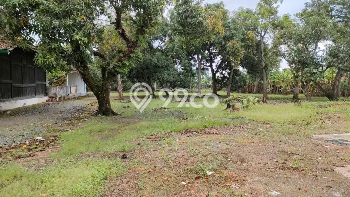 Dijual Rumah Premium dengan Fasilitas Sekitar Komplit di Pabedilan, Cirebon Dijual Rumah Premium dengan Fasilitas Sekitar Komplit di Pabedilan, Cirebon