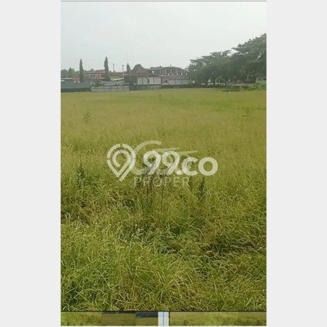 Tanah Dijual Lokasi Padangan Bojonegoro SHM Tanah Dijual Lokasi Padangan Bojonegoro SHM