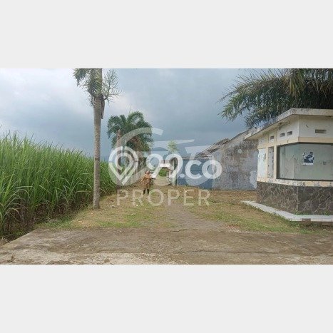 Tanah Dijual Lokasi Pakisaji, Malang Luas 72m2 Legalitas Aman Tanah Dijual Lokasi Pakisaji, Malang Luas 72m2 Legalitas Aman