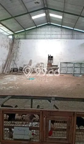 Gudang Dijual di Karangploso LT 5262m2, LB 3600m2 Solusi Investasi Cerdas Gudang Dijual di Karangploso LT 5262m2, LB 3600m2 Solusi Investasi Cerdas
