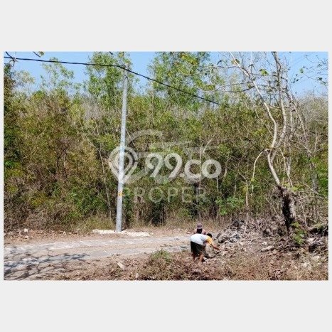 Untuk Dijual Tanah di Pajangan Bantul Luas 1076m2 SHM Untuk Dijual Tanah di Pajangan Bantul Luas 1076m2 SHM