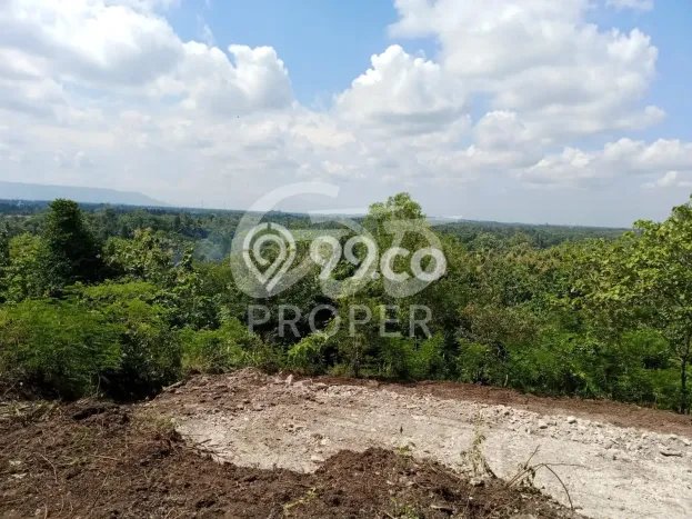 Untuk Dijual Tanah di Pajangan Bantul Luas 1076m2 SHM Untuk Dijual Tanah di Pajangan Bantul Luas 1076m2 SHM