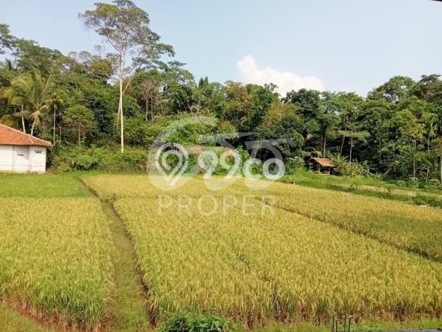Tanah Kawasan Cipeucang, Luas 3600m2m², Area Potensial, Lingkungan Asri Tanah Kawasan Cipeucang, Luas 3600m2m², Area Potensial, Lingkungan Asri