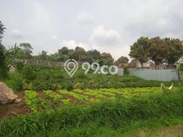 Tanah Dijual Lokasi Parongpong, Bandung Barat Luas 850m2 Legalitas Aman Tanah Dijual Lokasi Parongpong, Bandung Barat Luas 850m2 Legalitas Aman