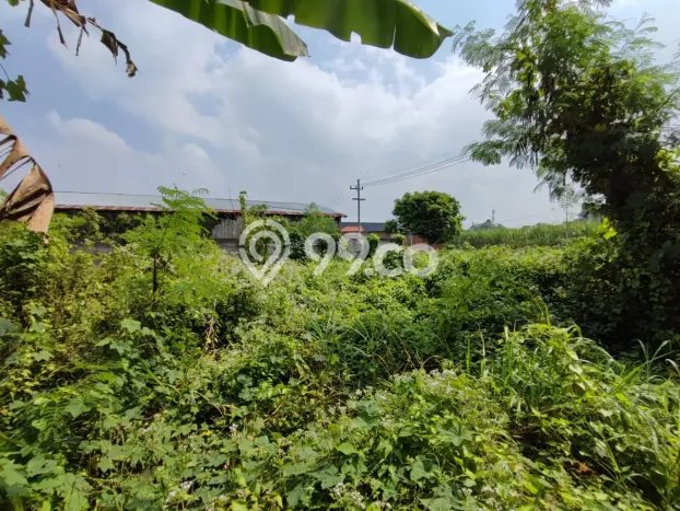 Tanah Komersial Dijual di Kedungkandang Malang 193m2 Tanah Komersial Dijual di Kedungkandang Malang 193m2