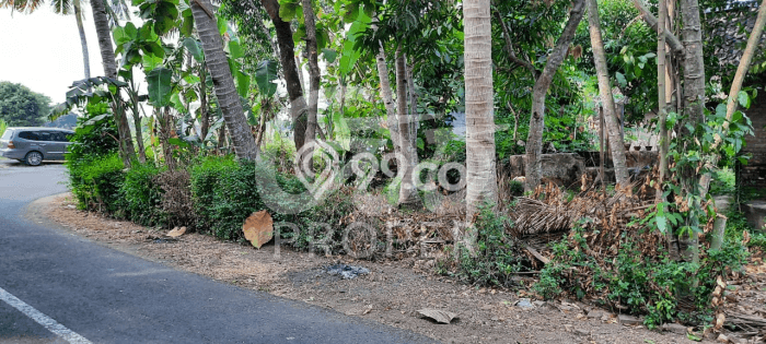 Tanah di Wates, Kulon Progo Luas 137m2 Dijual Segera Tanah di Wates, Kulon Progo Luas 137m2 Dijual Segera