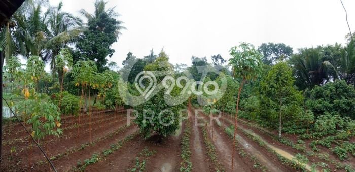 Tanah Kawasan Cipeucang, Luas 3600m2m², Area Potensial, Lingkungan Asri Tanah Kawasan Cipeucang, Luas 3600m2m², Area Potensial, Lingkungan Asri