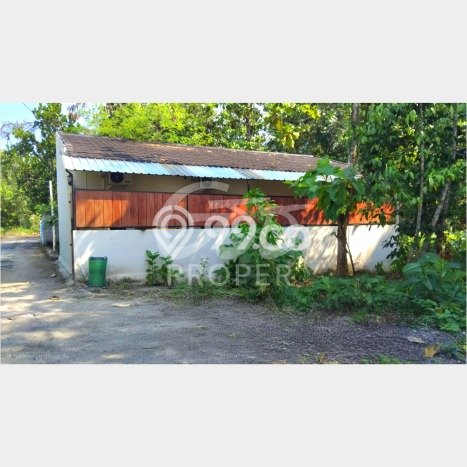 Kos-kosan Dijual di Kasihan, Bantul, 4 KT, 4 KM, Bangunan 70m2 Kos-kosan Dijual di Kasihan, Bantul, 4 KT, 4 KM, Bangunan 70m2