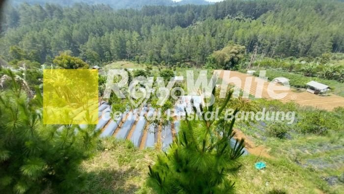 Tanah Kosong Dijual di Bandung Barat dengan Area 4228m2 Tanah Kosong Dijual di Bandung Barat dengan Area 4228m2