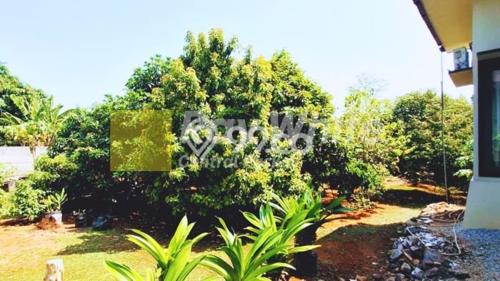 Komersial Dijual di Karawang Barat LT 2300m2, LB 1000m2 Solusi Investasi Cerdas Komersial Dijual di Karawang Barat LT 2300m2, LB 1000m2 Solusi Investasi Cerdas