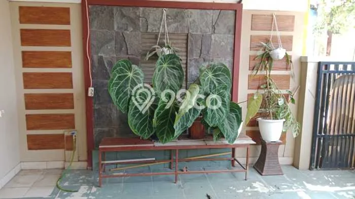 HUNIAN EKSKLUSIF! Rumah di Cimahi Utara, 3 KT, Design Modern, Luas 108m² Bangunan 100m² HUNIAN EKSKLUSIF! Rumah di Cimahi Utara, 3 KT, Design Modern, Luas 108m² Bangunan 100m²