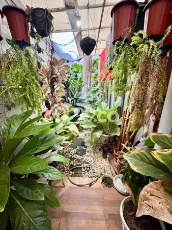 Ready to Use! Premium House LT 190m2 Desain Modern di Sektor 9-Bintaro Ready to Use! Premium House LT 190m2 Desain Modern di Sektor 9-Bintaro