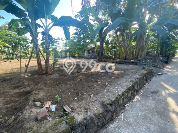 Rumah Minimalis Favorit Dijual di Prambanan LT 60m2 Rumah Minimalis Favorit Dijual di Prambanan LT 60m2