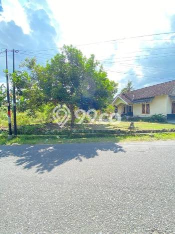 Jarang Ada! Tanah di Mlati Punya Luas 508m2 SHM Jarang Ada! Tanah di Mlati Punya Luas 508m2 SHM