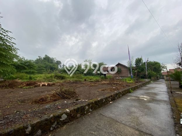 Dijual Rumah Murah di Seyegan Sleman Harga Rp 299 Juta LT 80m2 Dijual Rumah Murah di Seyegan Sleman Harga Rp 299 Juta LT 80m2