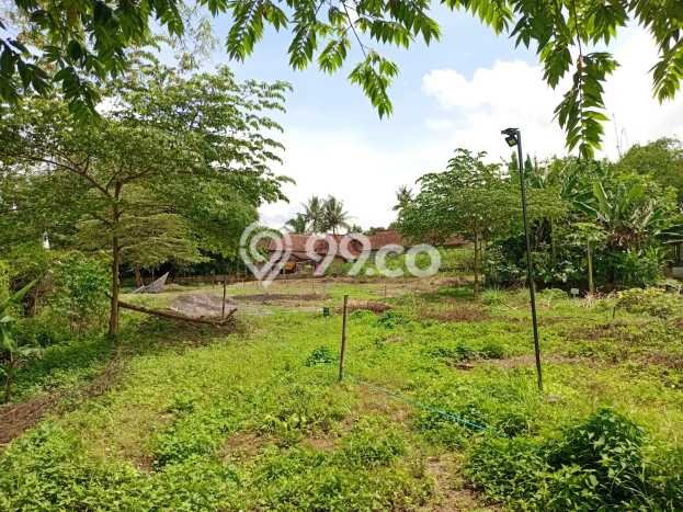 Rumah Budget Favorit Dijual di Tempel LT 80m2 Rumah Budget Favorit Dijual di Tempel LT 80m2