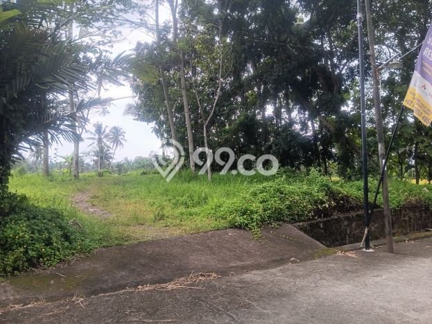 Tanah Dijual Lokasi Pakem, Sleman dengan Luas Tanah 415m2 dan Status SHM Tanah Dijual Lokasi Pakem, Sleman dengan Luas Tanah 415m2 dan Status SHM
