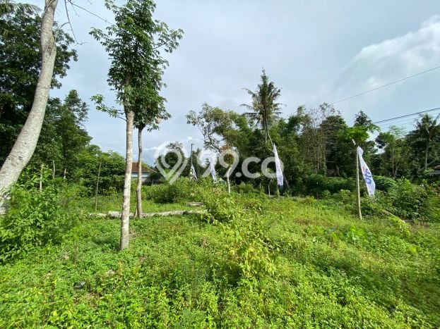 Dijual Rumah Siap Huni di Prambanan Klaten Harga Rp 256 Juta LT 95m2 Dijual Rumah Siap Huni di Prambanan Klaten Harga Rp 256 Juta LT 95m2
