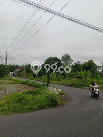 Kavling Tanah Dijual di Sleman Sleman Spesifikasi 113m2 Kavling Tanah Dijual di Sleman Sleman Spesifikasi 113m2