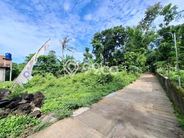 Jual Rumah Murah Meriah Jogonalan Punya 1 KT & LT 87m2 Jual Rumah Murah Meriah Jogonalan Punya 1 KT & LT 87m2