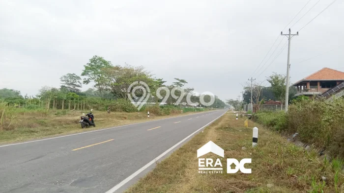 Tanah Dijual Lokasi Kebumen, Kebumen Luas 8756m2 Legalitas Aman Tanah Dijual Lokasi Kebumen, Kebumen Luas 8756m2 Legalitas Aman