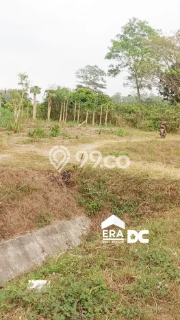 Tanah Dijual Lokasi Kebumen, Kebumen Luas 8756m2 Legalitas Aman Tanah Dijual Lokasi Kebumen, Kebumen Luas 8756m2 Legalitas Aman