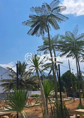 Untuk Dijual Komersial di Tuntang, Semarang Harga Penawaran Spesial Untuk Dijual Komersial di Tuntang, Semarang Harga Penawaran Spesial