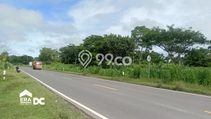 Tanah Dijual Lokasi Kebumen, Kebumen Luas 8756m2 Legalitas Aman Tanah Dijual Lokasi Kebumen, Kebumen Luas 8756m2 Legalitas Aman