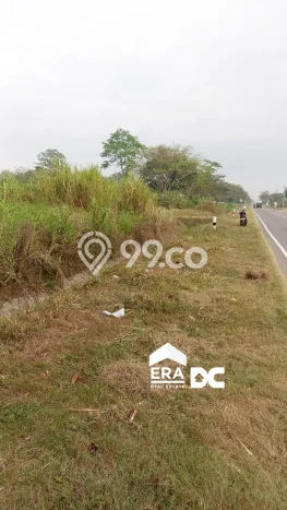 Tanah Dijual Lokasi Kebumen, Kebumen Luas 8756m2 Legalitas Aman Tanah Dijual Lokasi Kebumen, Kebumen Luas 8756m2 Legalitas Aman