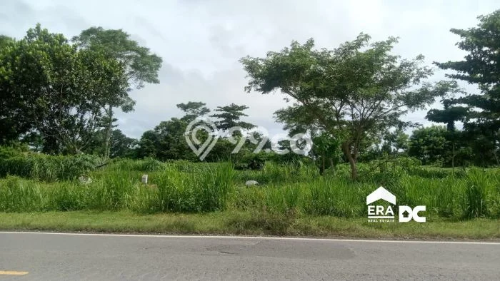 Tanah Dijual Lokasi Kebumen, Kebumen Luas 8756m2 Legalitas Aman Tanah Dijual Lokasi Kebumen, Kebumen Luas 8756m2 Legalitas Aman