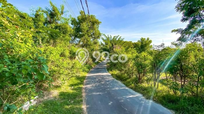 Tanah Investasi Dijual di Badung Punya Luas 2000m2 Tanah Investasi Dijual di Badung Punya Luas 2000m2