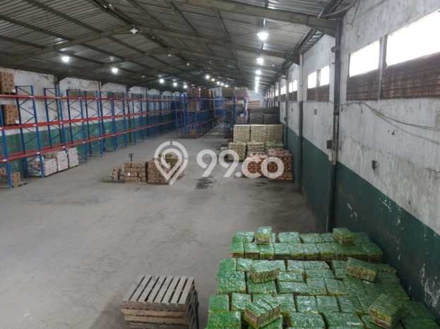 Gudang For Sale di Kawasan Mengwi, Badung Harga Kompetitif Gudang For Sale di Kawasan Mengwi, Badung Harga Kompetitif