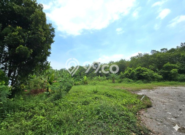 Tanah Dijual di Jakarta Utara Seluas 3000m2 Strategis Tanah Dijual di Jakarta Utara Seluas 3000m2 Strategis