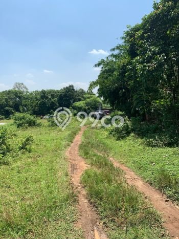 Untuk Dijual Tanah di Cikeusal Serang Luas 9013m2 SHM Untuk Dijual Tanah di Cikeusal Serang Luas 9013m2 SHM