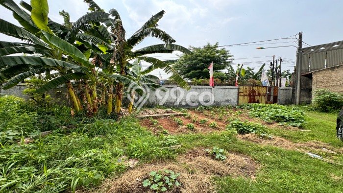 Tanah untuk Dijual Lokasi Tambun Selatan, Bekasi Luas 9097m2 SHM Tanah untuk Dijual Lokasi Tambun Selatan, Bekasi Luas 9097m2 SHM