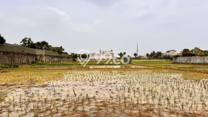 Tanah untuk Dijual Lokasi Tambun Selatan, Bekasi Luas 9097m2 SHM Tanah untuk Dijual Lokasi Tambun Selatan, Bekasi Luas 9097m2 SHM