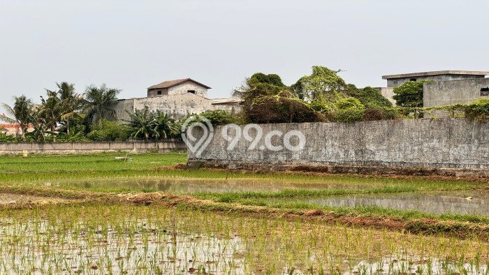 Tanah untuk Dijual Lokasi Tambun Selatan, Bekasi Luas 9097m2 SHM Tanah untuk Dijual Lokasi Tambun Selatan, Bekasi Luas 9097m2 SHM