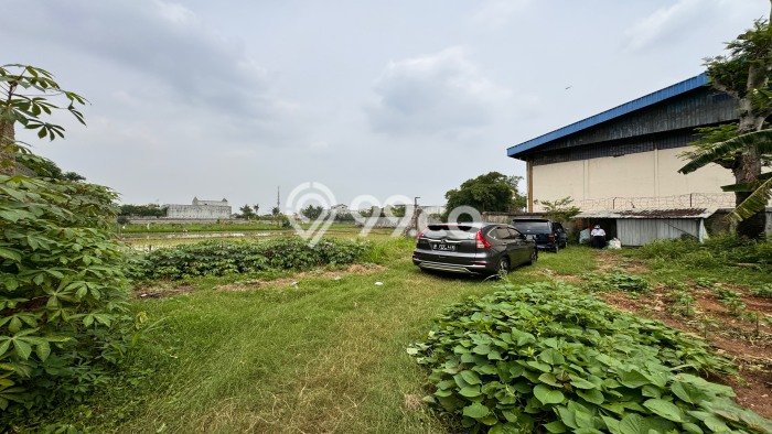 Tanah untuk Dijual Lokasi Tambun Selatan, Bekasi Luas 9097m2 SHM Tanah untuk Dijual Lokasi Tambun Selatan, Bekasi Luas 9097m2 SHM