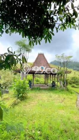 Lahan untuk Dijual Lokasi Batu, Batu Luas 2000m2 SHM Lahan untuk Dijual Lokasi Batu, Batu Luas 2000m2 SHM