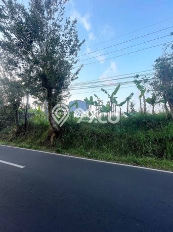Tanah Dijual di Malang Seluas 3790m2 Strategis Tanah Dijual di Malang Seluas 3790m2 Strategis