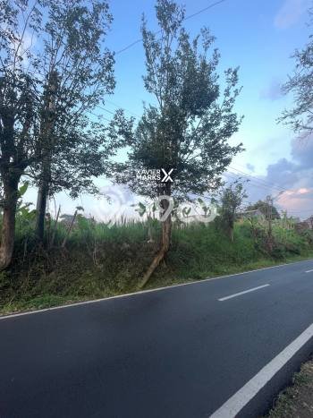 Tanah Dijual di Malang Seluas 3790m2 Strategis Tanah Dijual di Malang Seluas 3790m2 Strategis