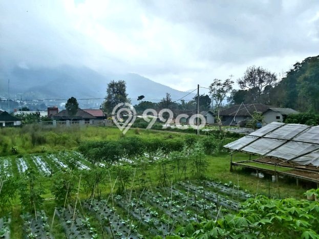 Vila Berkualitas di Cisarua, Area 1080m2m², Kawasan Tenang dan nyaman Vila Berkualitas di Cisarua, Area 1080m2m², Kawasan Tenang dan nyaman